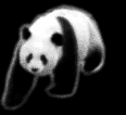 Osita.Net